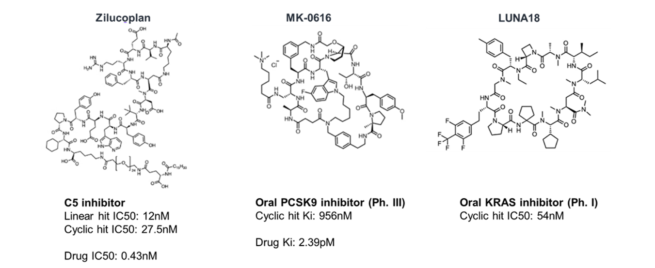 Peptide hits from mRNA display reach for the clinic Image