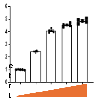 Figure 2 Image