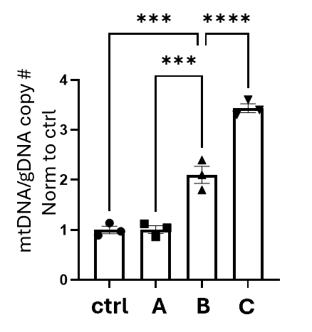 Figure 3 Image