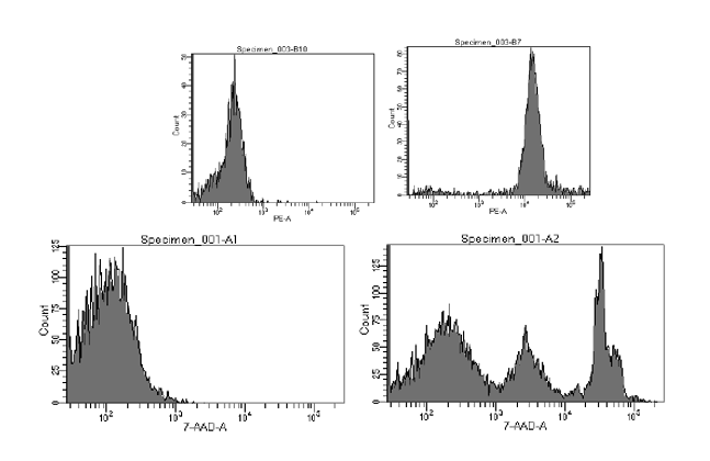 Figure 4 Image